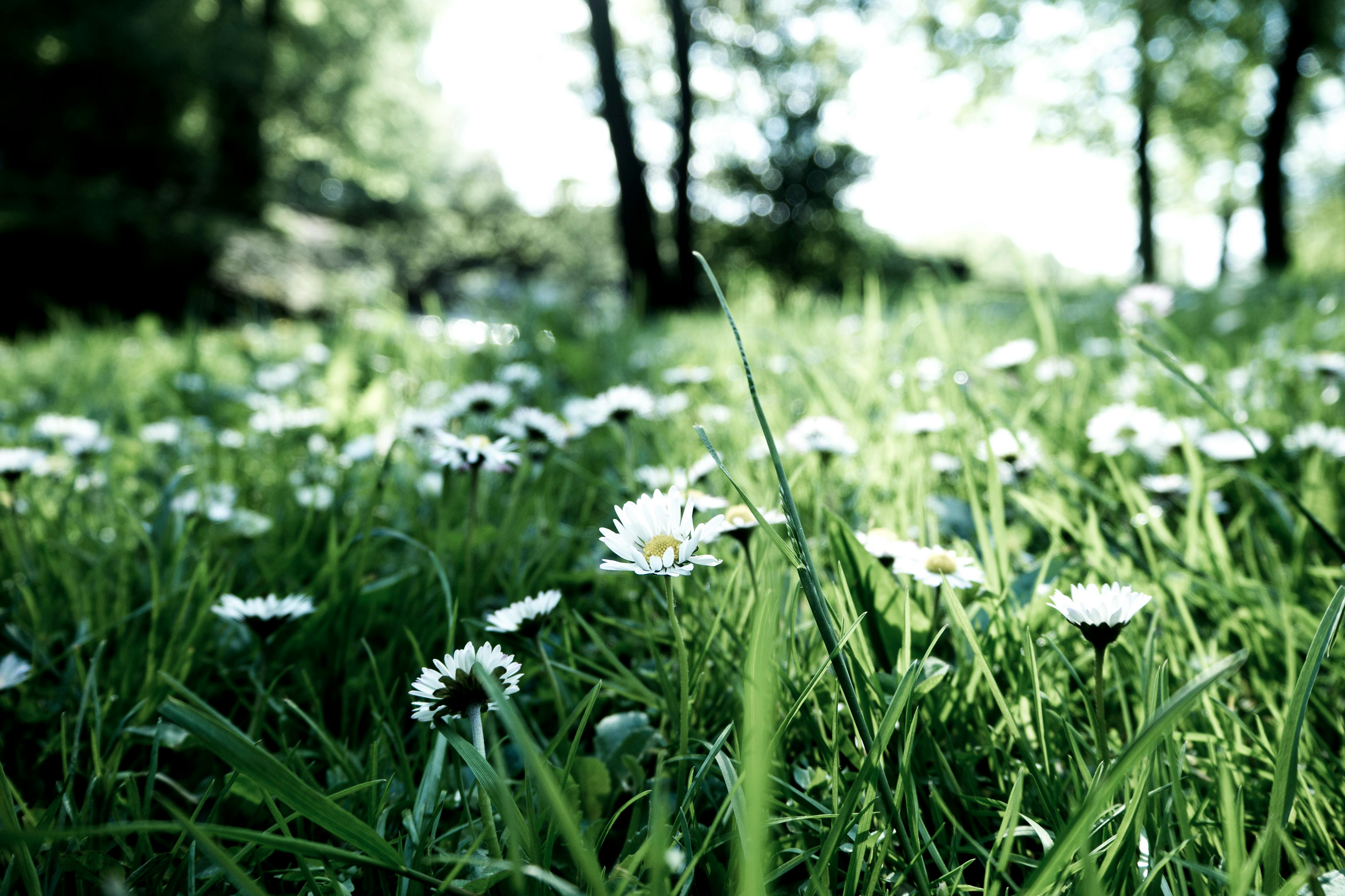 scenery